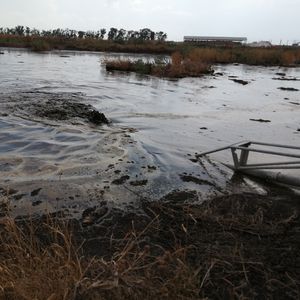 Работа мешалки осенью